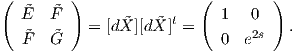 (  ˜E  F˜ )               (  1  0  )
           = [dX˜][dX˜]t =       2s   .
   ˜F  G˜                    0  e  